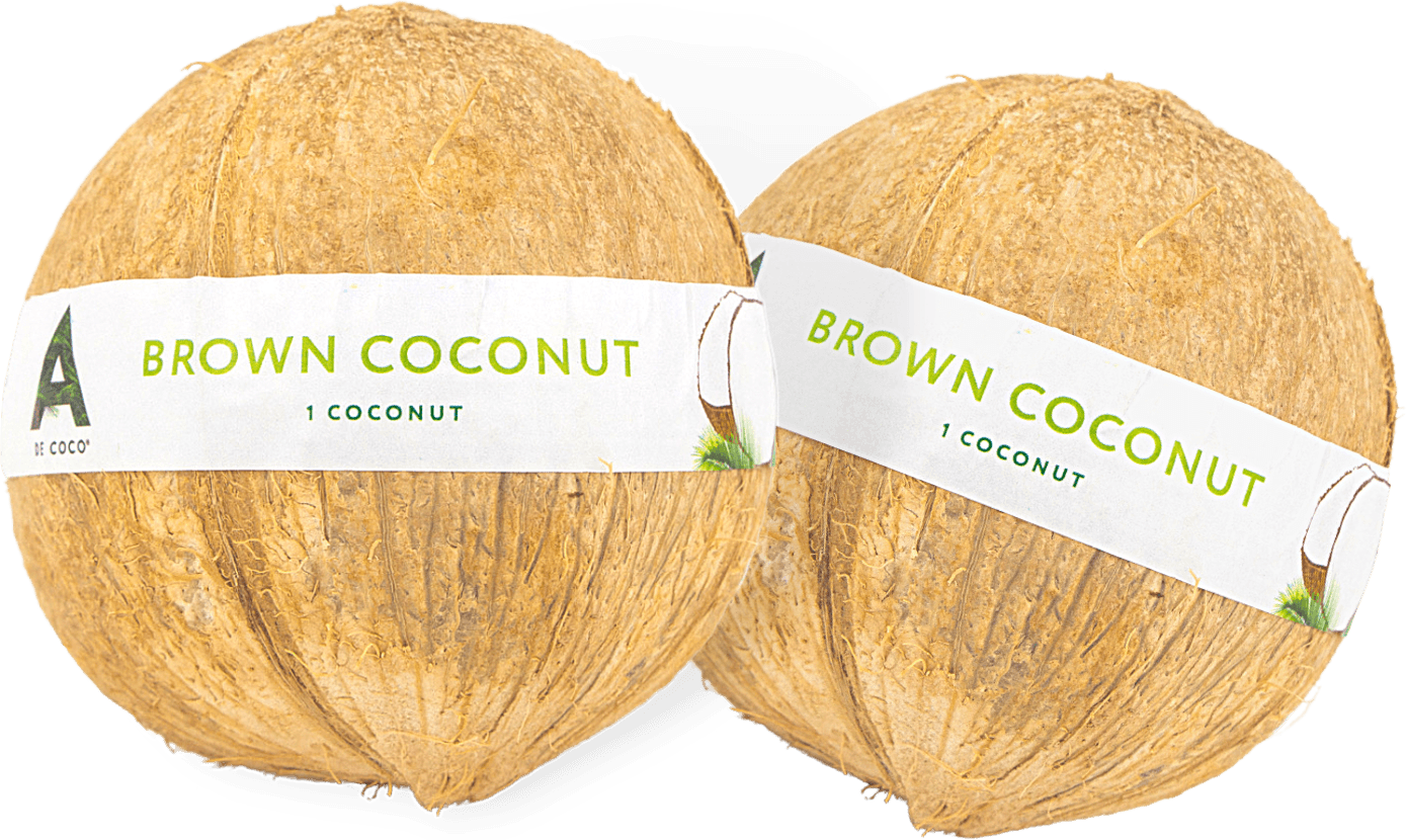 Brown Coconut