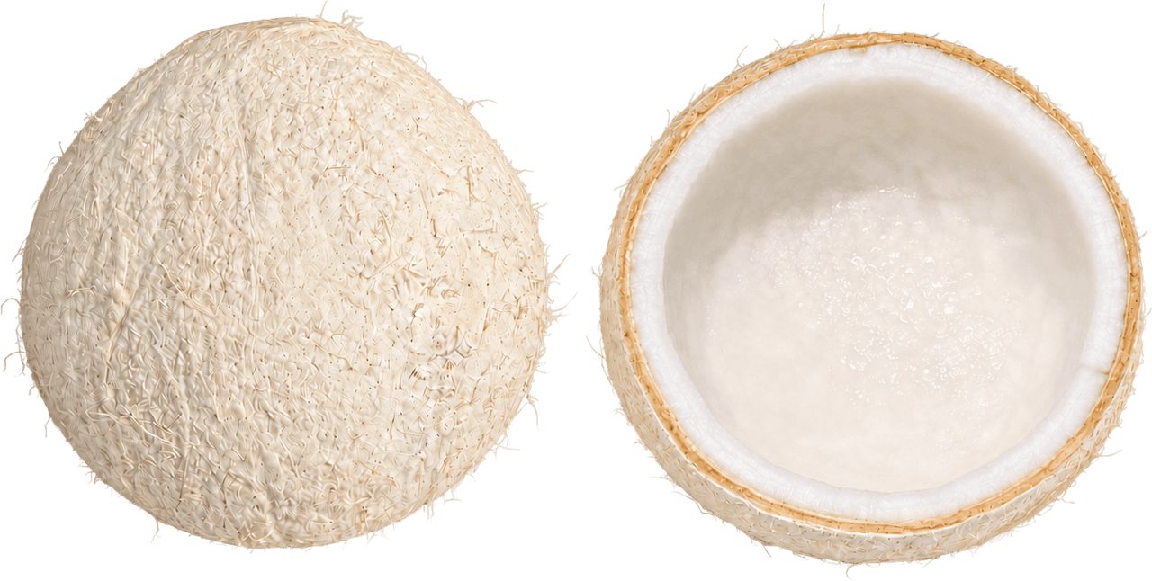 White Coconut