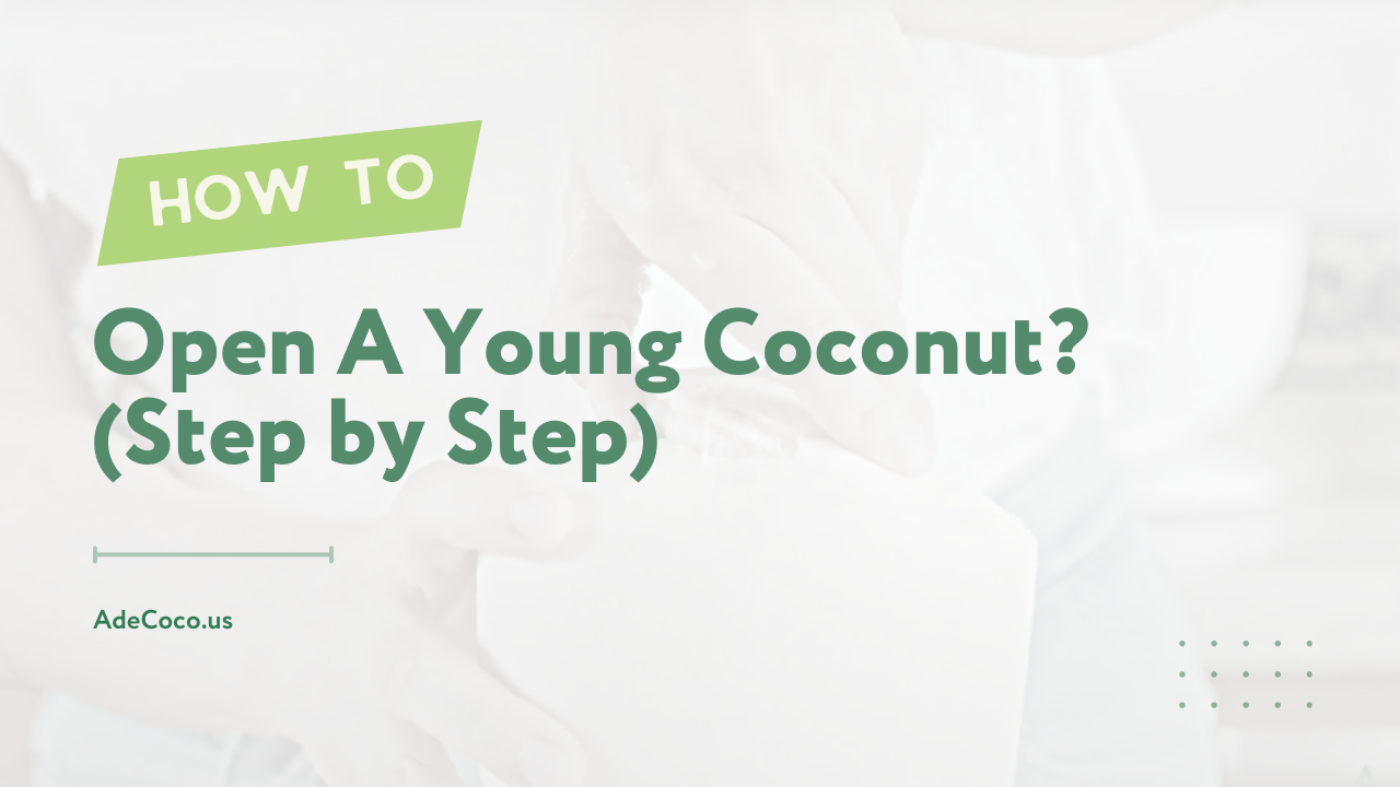 How To Open A Young Coconut? (Step by Step)