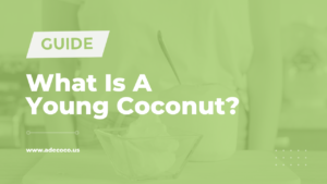 Read more about the article What Is A Young Coconut? (2023)