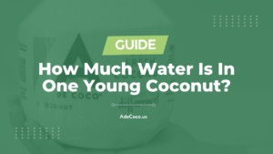 Read more about the article How Much Water Is In One Young Coconut? (2023)