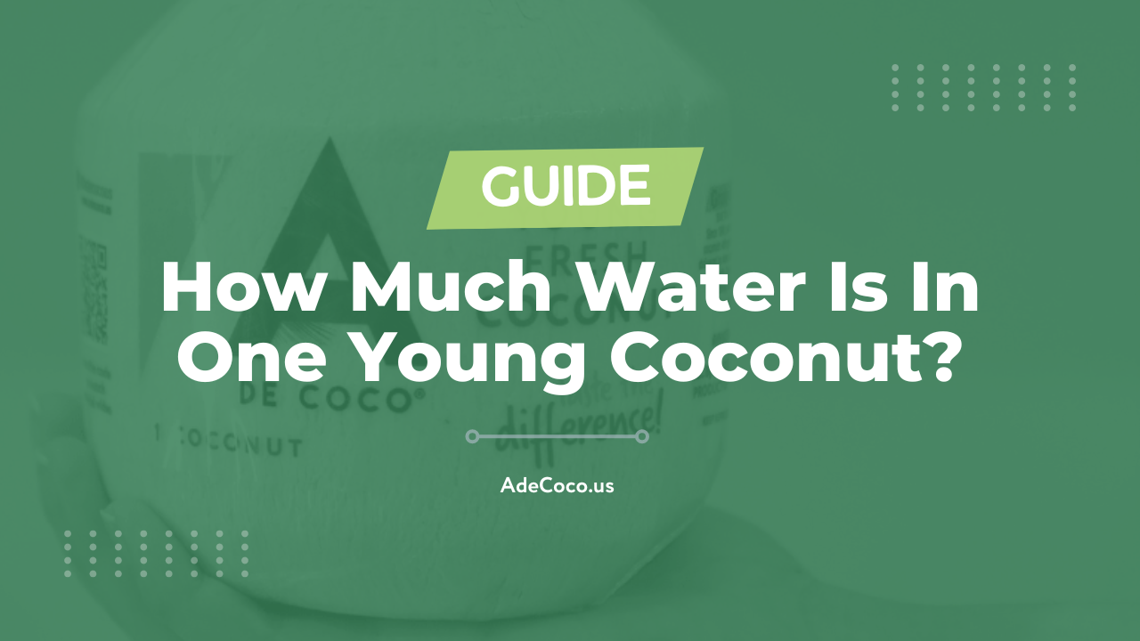 How Much Water Is In One Young Coconut? (2023)