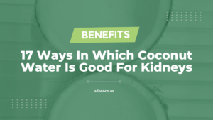 Read more about the article 17 Ways In Which Coconut Water Is Good For Kidneys (2023)