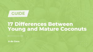 Read more about the article 17 Differences Between Young and Mature Coconuts (2023)