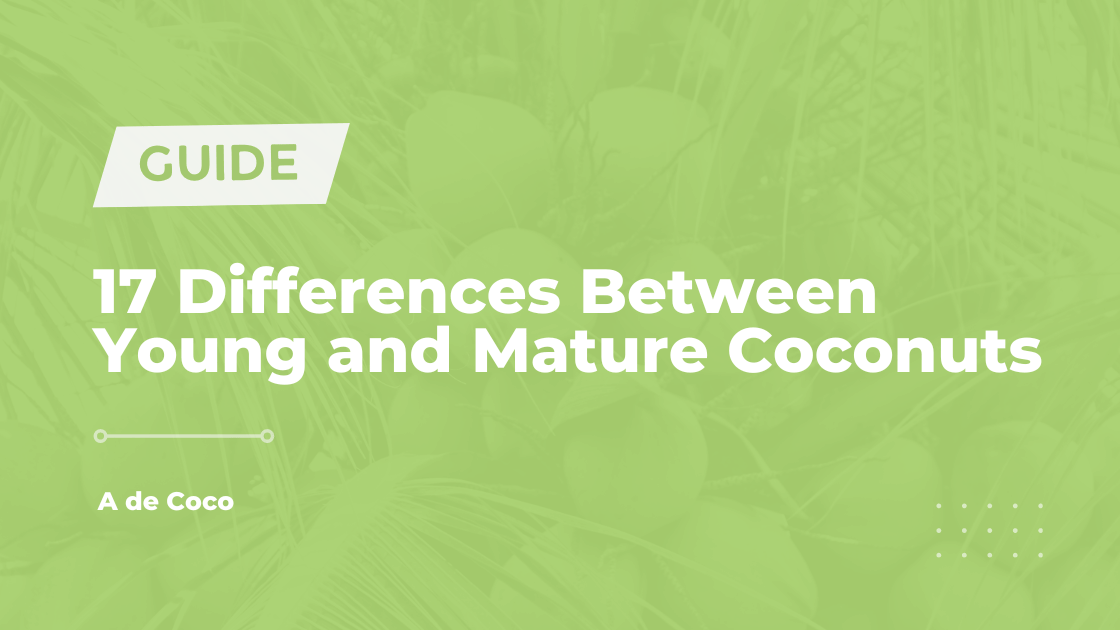 Differences Between Young and Mature Coconuts