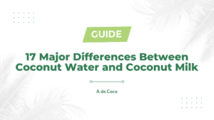 Read more about the article 17 Major Differences Between Coconut Water and Coconut Milk (2023)