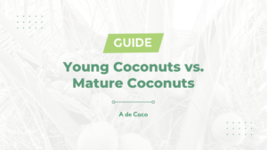 Read more about the article 17 Differences Between a Young & Mature Coconut